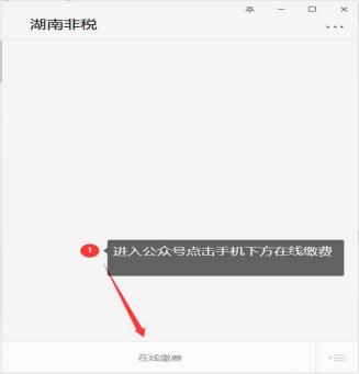 湖南师范大学2023年10月考期高等教育自学考生毕业论文和实践环节缴费说明